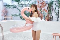 Модный круг фламинго с блестками фото