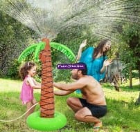 Кокосовая пальма фонтан