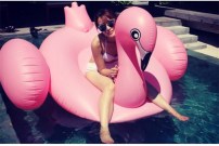 Огромный надувной розовый лебедь 190 см фото
