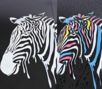 Зонт с зеброй меняющей цвет фото