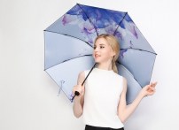 Зонт с иллюстрациею внутри фото