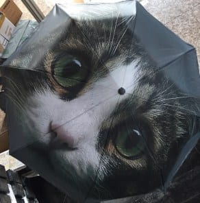 Зонт с 3D фото